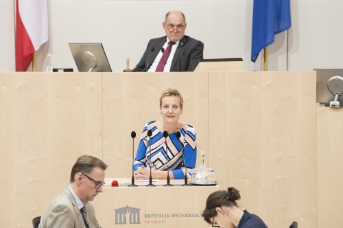 Am Rednerpult: Nationalratsabgeordnete Sibylle Hamann (G). Am Präsidium: Nationalratspräsident Wolfgang Sobotka (V)