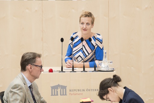 Am Rednerpult: Nationalratsabgeordnete Sibylle Hamann (G)