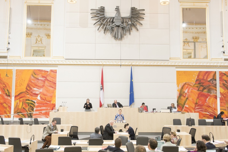 Am Rednerpult: Nationalratsabgeordnete Sibylle Hamann (G). Am Präsidium: Nationalratspräsident Wolfgang Sobotka (V)