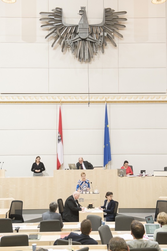 Am Rednerpult: Nationalratsabgeordnete Sibylle Hamann (G). Am Präsidium: Nationalratspräsident Wolfgang Sobotka (V)