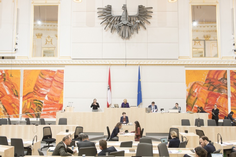 Am Rednerpult: Nationalratsabgeordnete Sigrid Maurer (G). Am Präsidium: Nationalratspräsidentin Doris Bures (S)