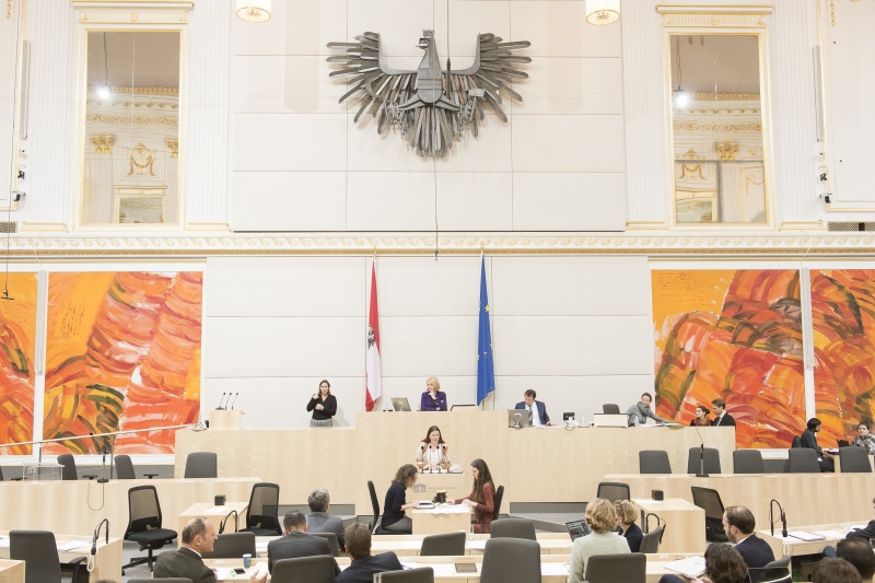 Am Rednerpult: Nationalratsabgeordnete Karin Doppelbauer (N). Am Präsidium: Nationalratspräsidentin Doris Bures (S)