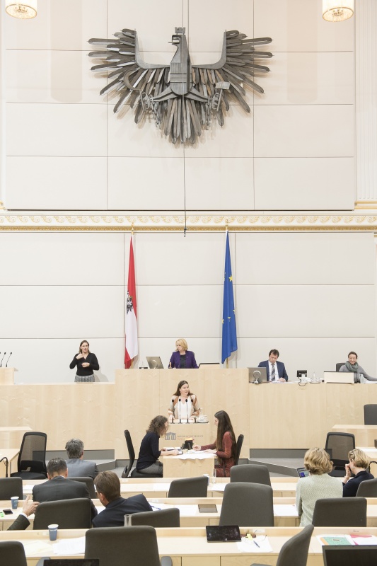 Am Rednerpult: Nationalratsabgeordnete Karin Doppelbauer (N). Am Präsidium: Nationalratspräsidentin Doris Bures (S)