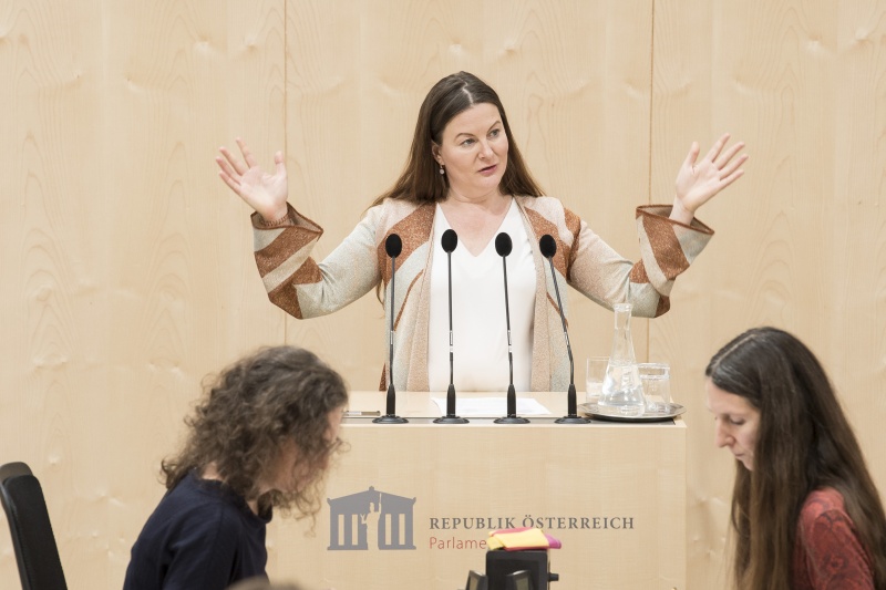 Am Rednerpult: Nationalratsabgeordnete Karin Doppelbauer (N)