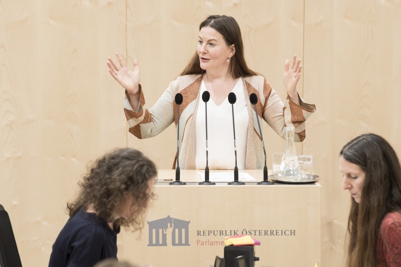 Am Rednerpult: Nationalratsabgeordnete Karin Doppelbauer (N)