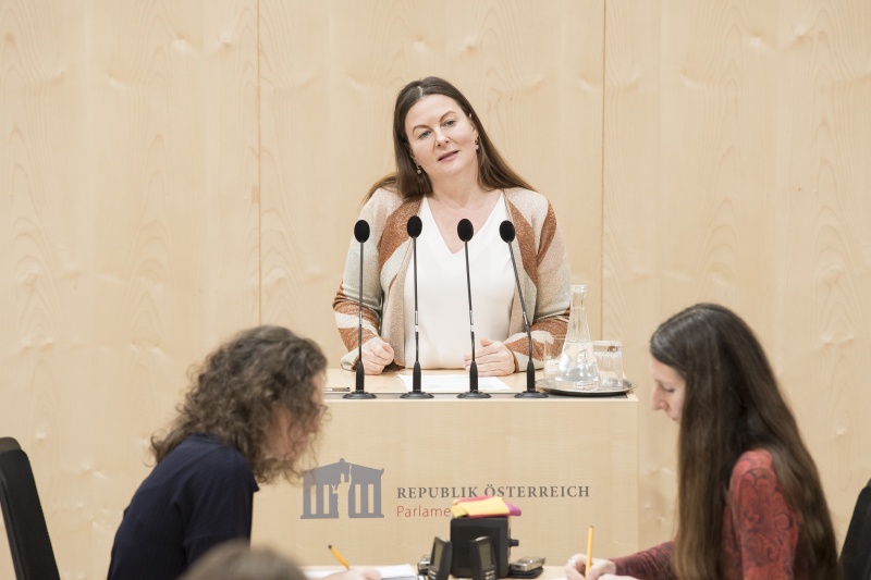 Am Rednerpult: Nationalratsabgeordnete Karin Doppelbauer (N)