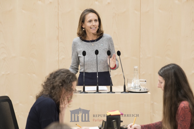 Am Rednerpult: Nationalratsabgeordnete Maria Theresia Niss (V)