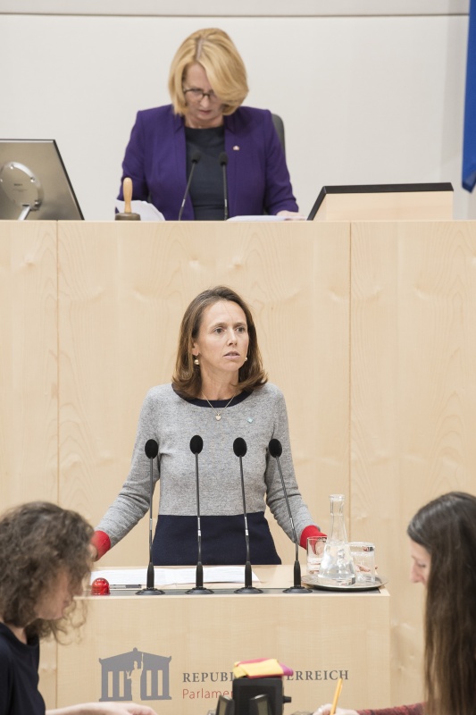 Am Rednerpult: Nationalratsabgeordnete Maria Theresia Niss (V). Am Präsidium: Nationalratspräsidentin Doris Bures (S)