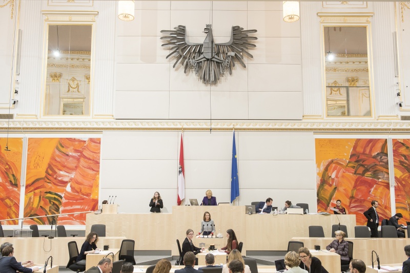 Am Rednerpult: Nationalratsabgeordnete Maria Theresia Niss (V). Am Präsidium: Nationalratspräsidentin Doris Bures (S)