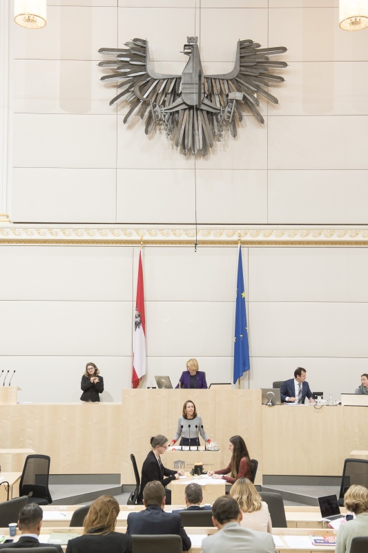Am Rednerpult: Nationalratsabgeordnete Maria Theresia Niss (V). Am Präsidium: Nationalratspräsidentin Doris Bures (S)