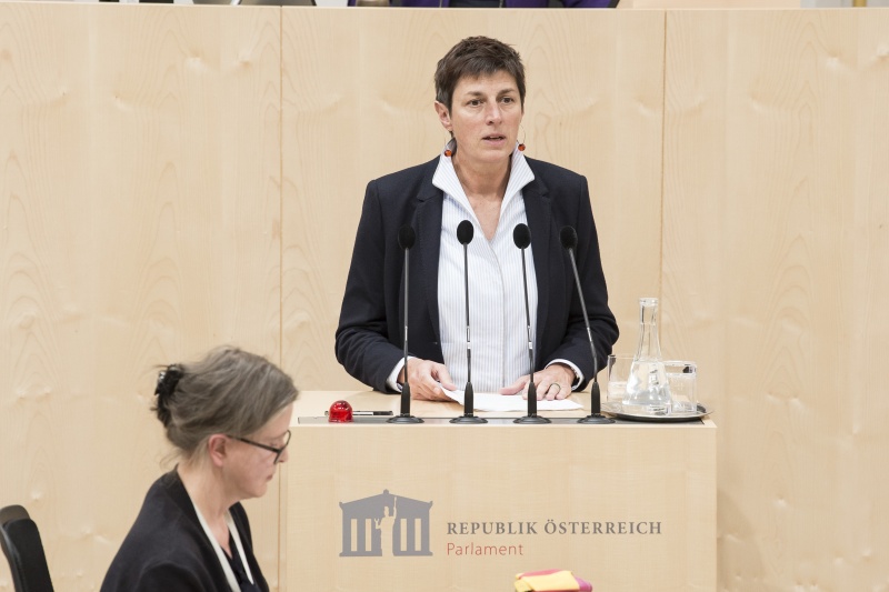 Am Rednerpult: Nationalratsabgeordnete Astrid Rössler (G)