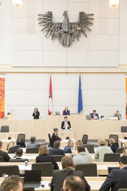 Am Rednerpult: Nationalratsabgeordnete Astrid Rössler (G). Am Präsidium: Nationalratspräsidentin Doris Bures (S)