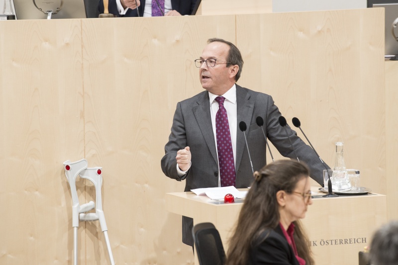 Am Rednerpult: Nationalratsabgeordneter Peter Haubner (V) 

