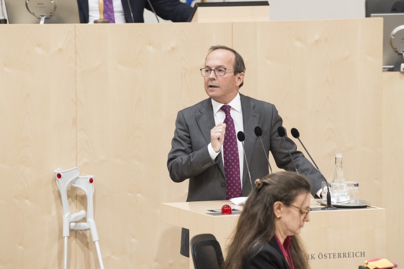 Am Rednerpult: Nationalratsabgeordneter Peter Haubner (V) 

