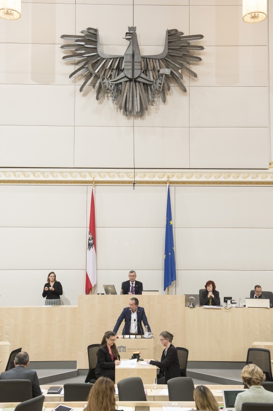 Am Rednerpult: Nationalratsabgeordneter Hermann Weratschnig (G). Am Präsidium: Nationalratspräsident Norbert Hofer (F)
