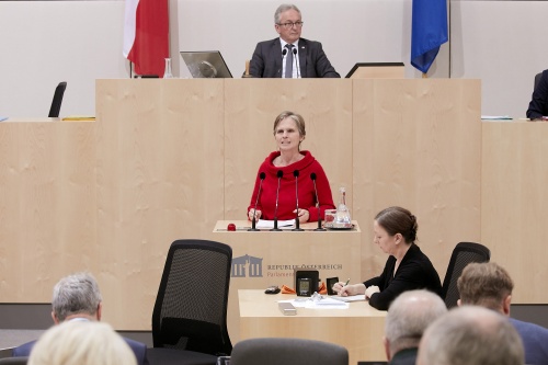 Am Rednerpult Bundesrätin Daniela Gruber-Pruner (S)