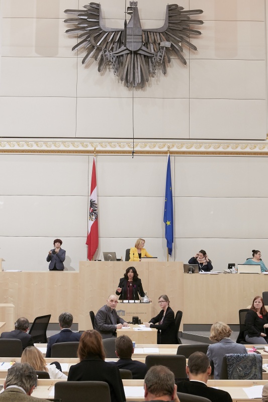 am Rednerpult Nationalratsabgeordnete Selma Yildirim (S)