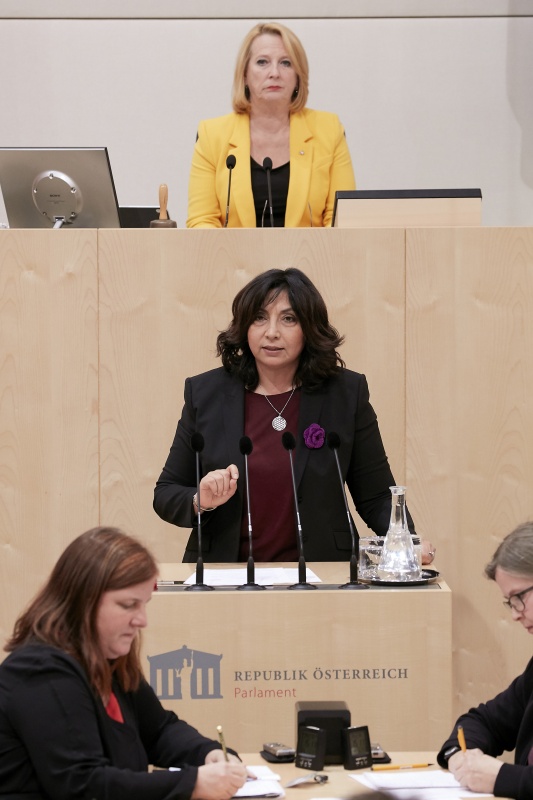 am Rednerpult Nationalratsabgeordnete Selma Yildirim (S)