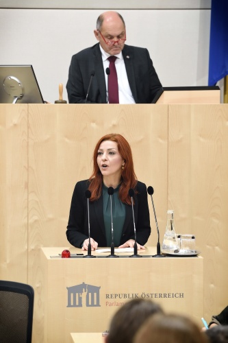 Nationalratsabgeordnete Ewa Ernst-Dziedzic (G) am Rednerpult