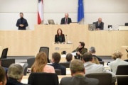 Nationalratsabgeordnete Ewa Ernst-Dziedzic (G) am Rednerpult