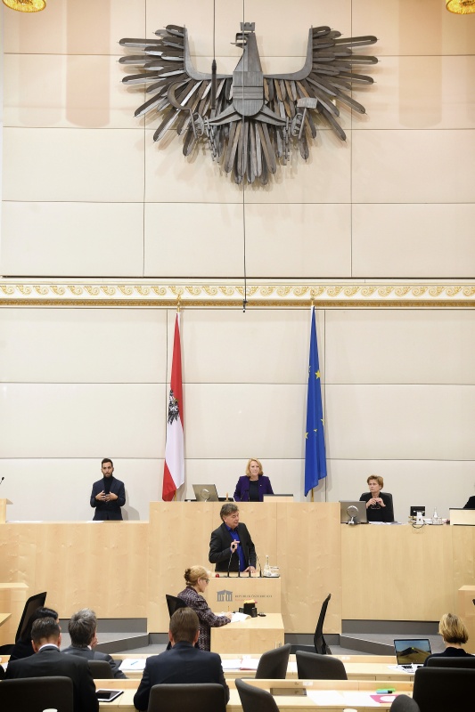 Klubobmann Werner Kogler (G) am Rednerpult