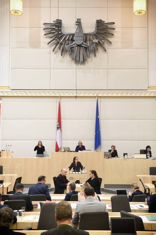 Nationalratsabgeordnete Julia Herr (S) am Rednerpult