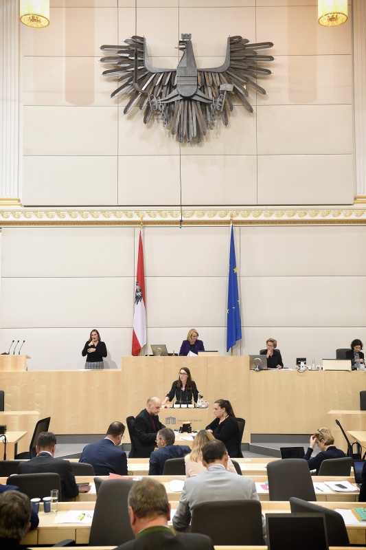 Nationalratsabgeordnete Julia Herr (S) am Rednerpult