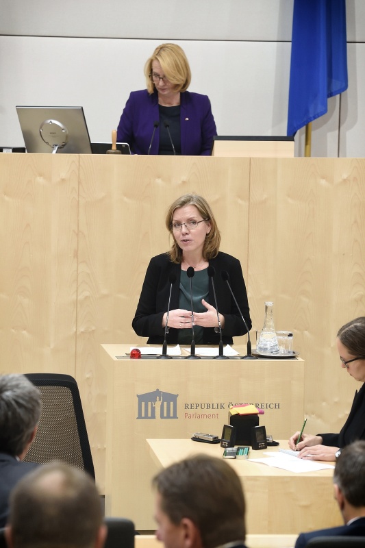 Nationalratsabgeordnete Leonore Gewessler (G) am Rednerpult