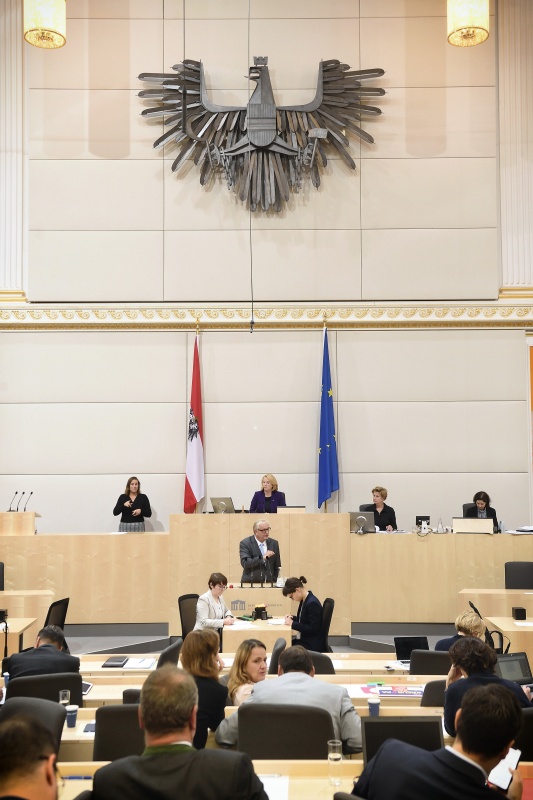 Nationalratsabgeordneter Christoph Matznetter (S) am Rednerpult