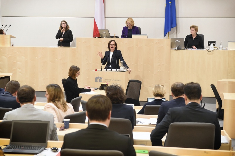 Nationalratsabgeordnete Sonja Hammerschmid (S) am Rednerpult
