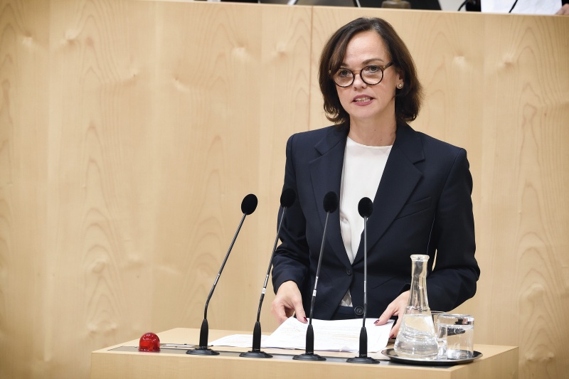 Nationalratsabgeordnete Sonja Hammerschmid (S) am Rednerpult