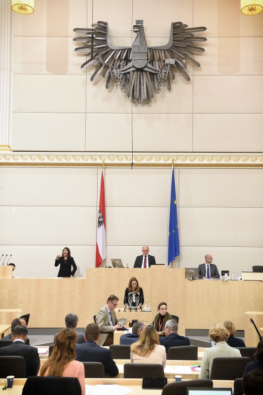 Nationalratsabgeordnete Carmen Jeitler-Cincelli (V) am Rednerpult