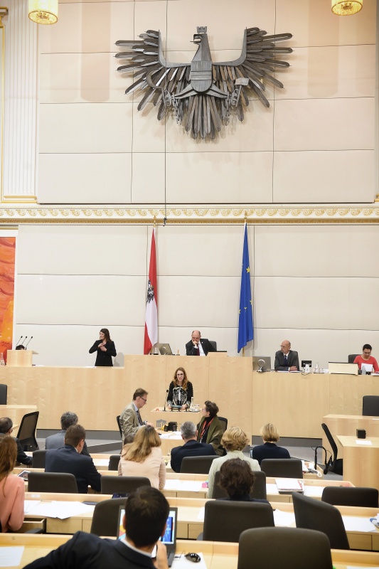 Nationalratsabgeordnete Carmen Jeitler-Cincelli (V) am Rednerpult