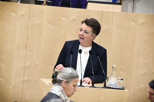Nationalratsabgeordnete Olga Voglauer (G) am Rednerpult