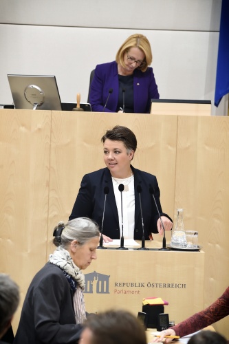 Nationalratsabgeordnete Olga Voglauer (G) am Rednerpult