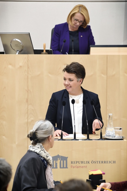 Nationalratsabgeordnete Olga Voglauer (G) am Rednerpult