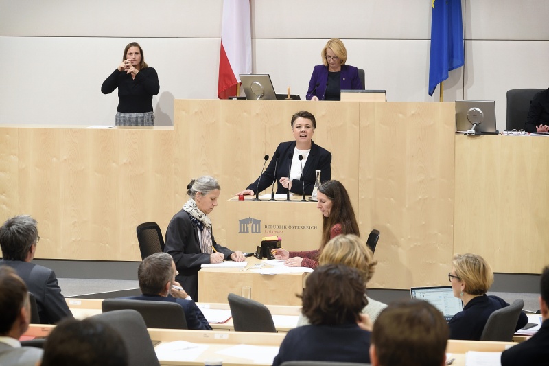 Nationalratsabgeordnete Olga Voglauer (G) am Rednerpult