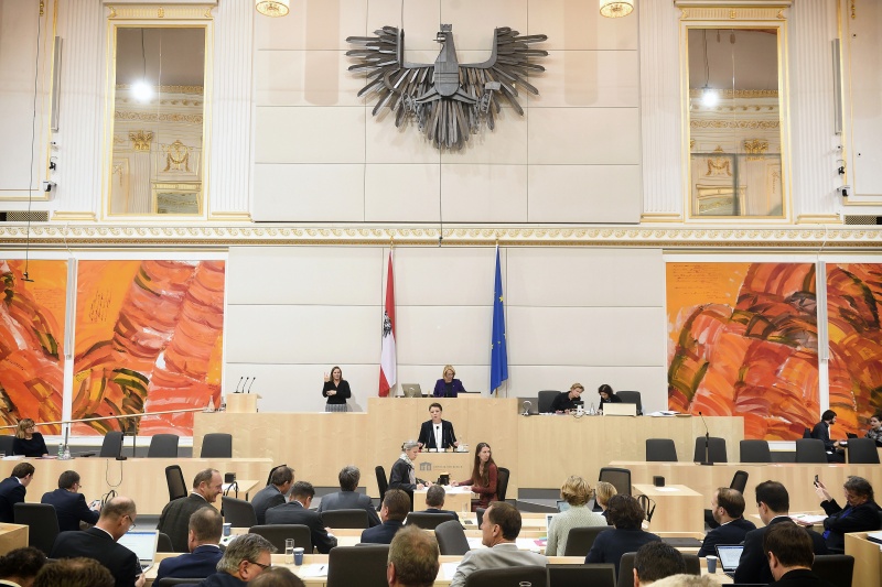 Nationalratsabgeordnete Olga Voglauer (G) am Rednerpult