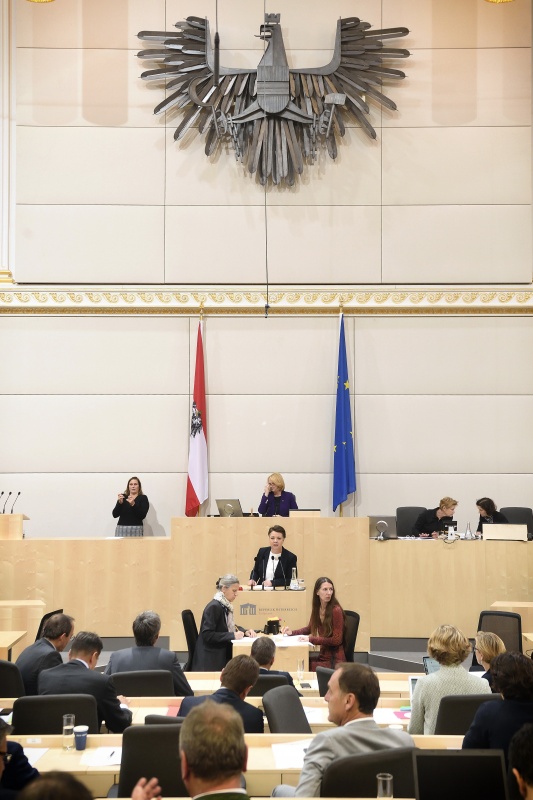 Nationalratsabgeordnete Olga Voglauer (G) am Rednerpult