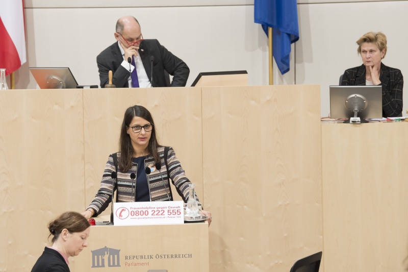 Am Rednerpult: Nationalratsabgeordnete Meri Disoski (G)