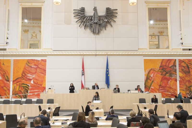 Am Rednerpult: Nationalratsabgeordnete Meri Disoski (G)