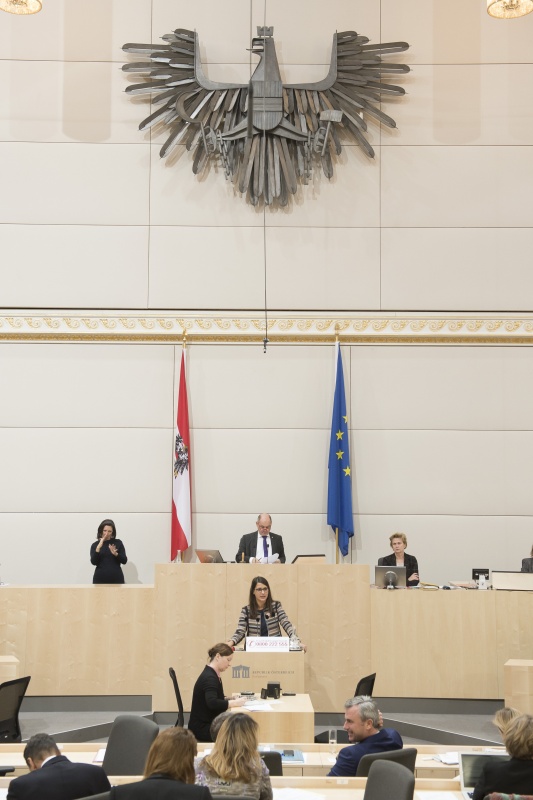 Am Rednerpult: Nationalratsabgeordnete Meri Disoski (G)