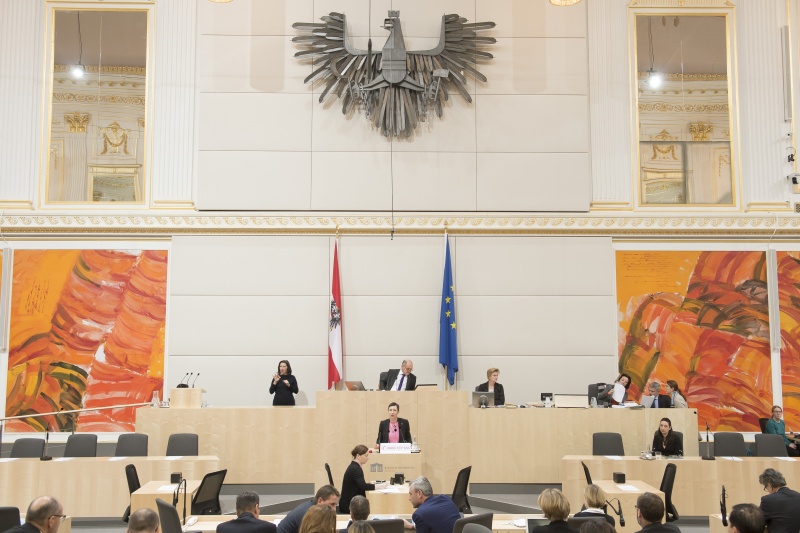 Am Rednerpult: Nationalratsabgeordnete Henrike Brandstötter (N)