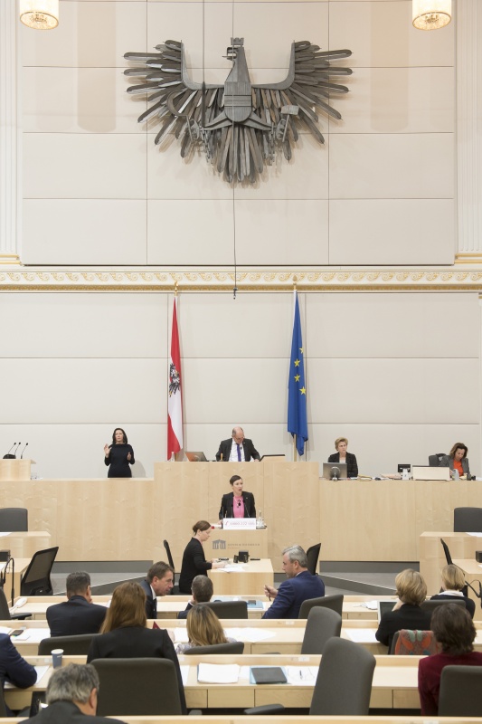 Am Rednerpult: Nationalratsabgeordnete Henrike Brandstötter (N)