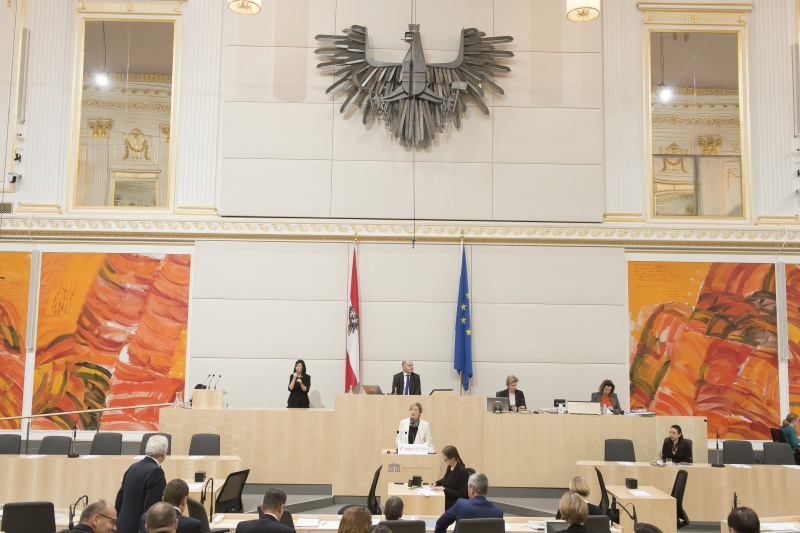 Am Rednerpult: Nationalratsabgeordnete Michaela Steinacker (V)