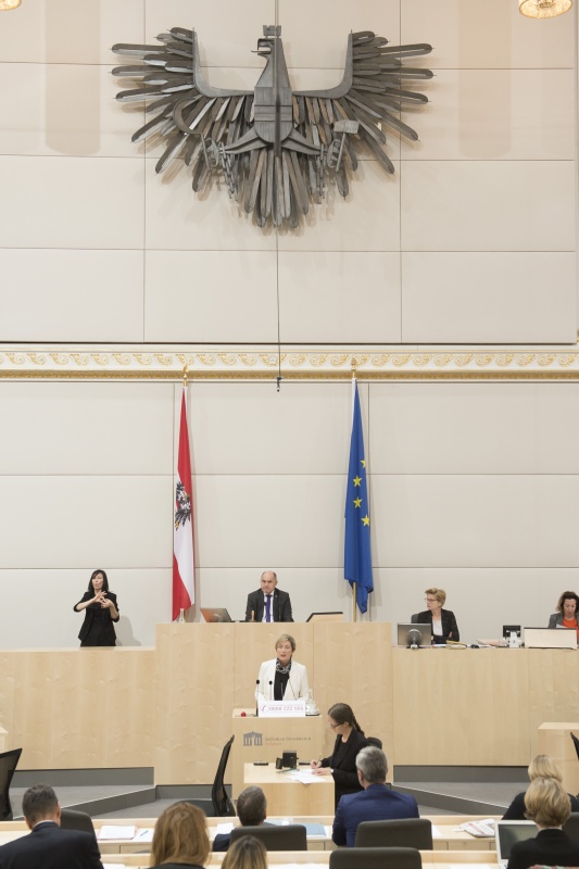 Am Rednerpult: Nationalratsabgeordnete Michaela Steinacker (V)