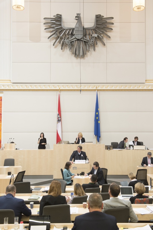 Am Rednerpult: Nationalratsabgeordneter Josef Muchitsch (S)