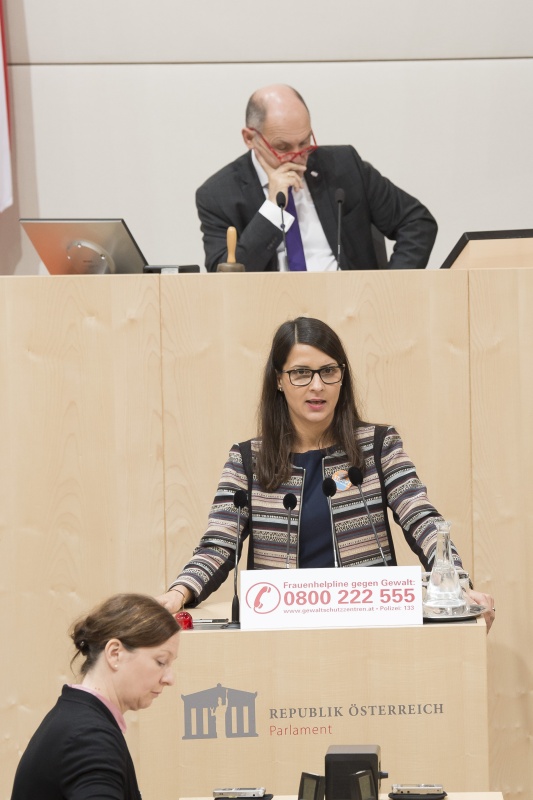 Am Rednerpult: Nationalratsabgeordnete Meri Disoski (G)