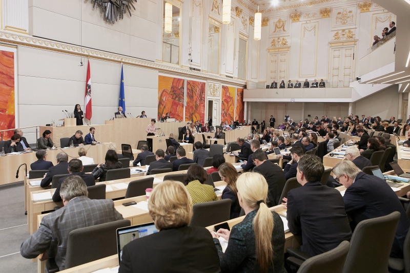 Kubobfrau Pamela Rendi-Wagner (S) am Wort