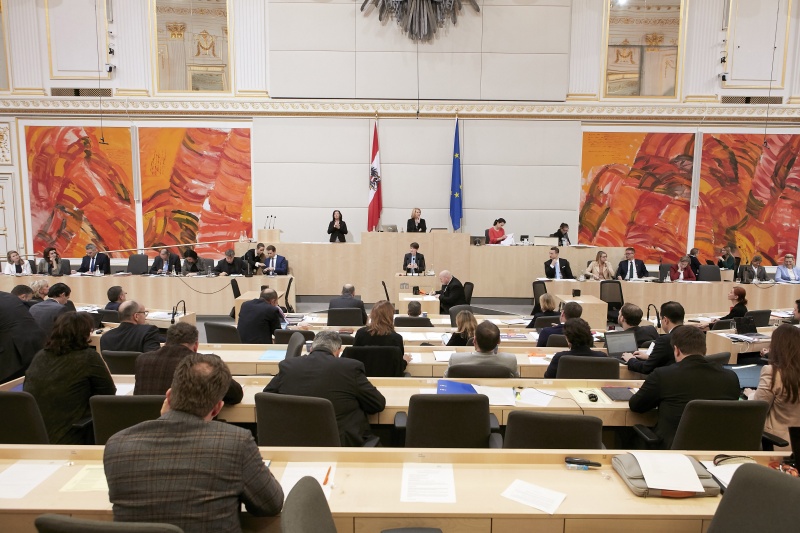 Klubobfrau Sigrid Maurer (G) am Wort